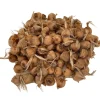 Saffron Crocus Bulbs - 100 Pack - Crocus Sativus - Fall Blooming with Bulb Food - Image 1