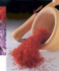 Saffron Crocus Bulbs - 500 Count - Crocus Sativus + Bulb Food - Fall Blooming - Image 2