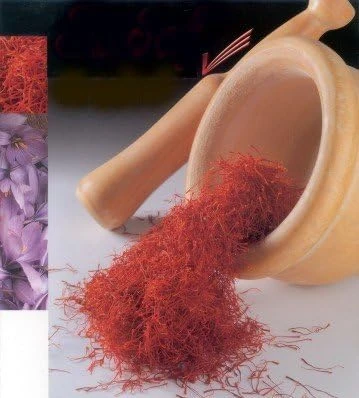 Saffron Crocus Bulbs - 500 Count - Crocus Sativus + Bulb Food - Fall Blooming - Image 2