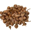 Saffron Crocus Bulbs - Crocus Sativus - 50 Bulbs + Bulb Food - Fall Blooming - Image 1