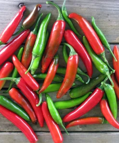 Serrano Pepper Seeds - 50 Seeds - Spicy Chili Pepper for Garden - Image 1