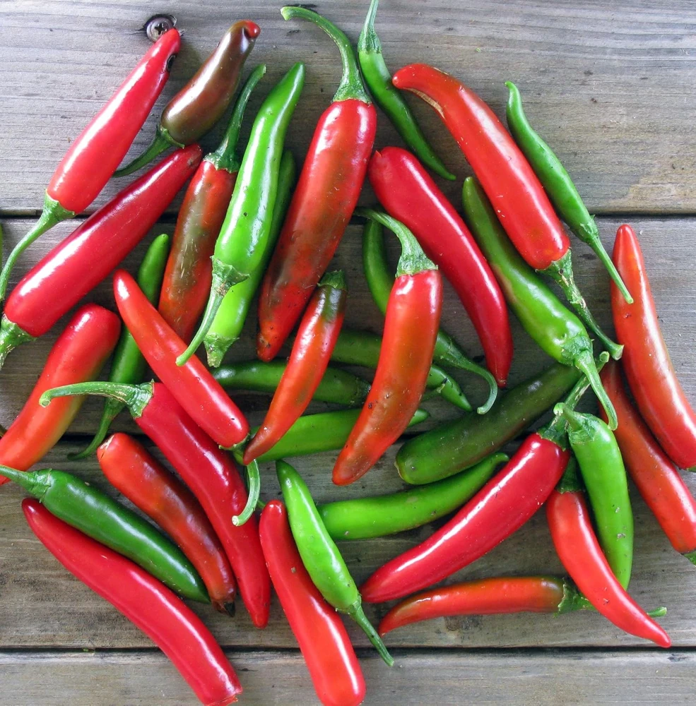 Serrano Pepper Seeds - 50 Seeds - Spicy Chili Pepper for Garden - Image 1