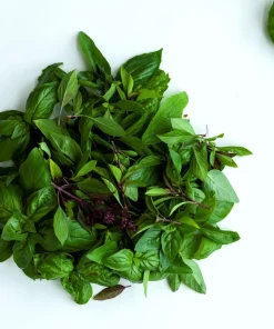 Siam Queen Thai Basil Seeds - 250 Herb Seeds for Flavorful Cooking - Image 8