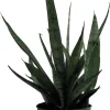 Silver Streak Snake Plant Live Plant – Sansevieria – 6 inch Pot – Indoor - Image 1