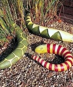 Snake Gourd Seeds - 5 Count Packet - Unique Trailing Vegetable Seeds - Image 2