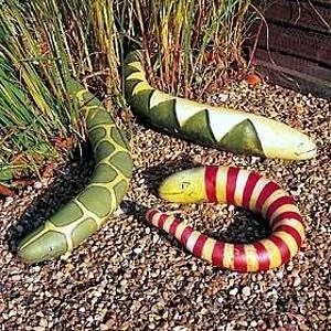 Snake Gourd Seeds - 5 Count Packet - Unique Trailing Vegetable Seeds - Image 2
