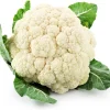 Snowball Y Cauliflower Seeds - 50 Seed Pack - Vegetable Seeds for Garden - Image 1