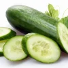 Spacemaster Cucumber Seeds - Bush Variety - 2 Grams - 58 Days to Maturity - Image 1