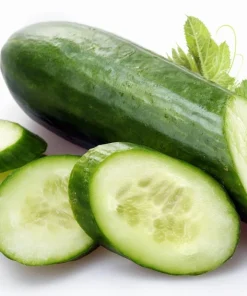 Spacemaster Cucumber Seeds - Bush Variety - 2 Grams - 58 Days to Maturity - Image 1