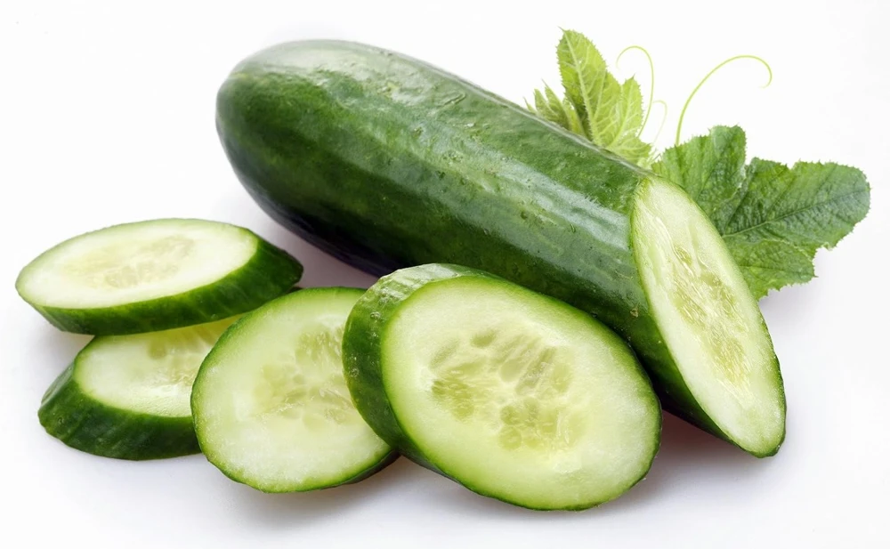 Spacemaster Cucumber Seeds - Bush Variety - 2 Grams - 58 Days to Maturity - Image 1