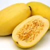 Spaghetti Squash Seeds - Sweet, Deep Orange Flesh - 8 Seeds for Garden - Image 1