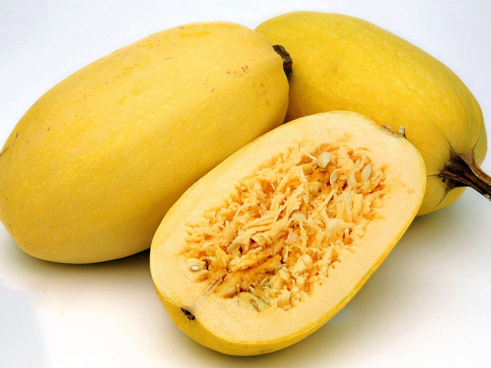 Spaghetti Squash Seeds - Sweet, Deep Orange Flesh - 8 Seeds for Garden - Image 1