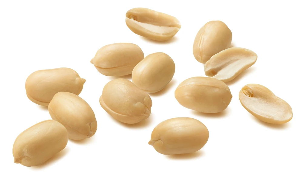 Spanish Peanut Seeds - 20 Count Arachis Hypogaea - Early Maturing Nut Plant - Image 3