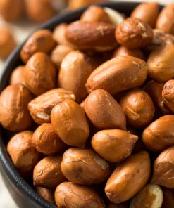 Spanish Peanut Seeds - 20 Count Arachis Hypogaea - Early Maturing Nut Plant - Image 1