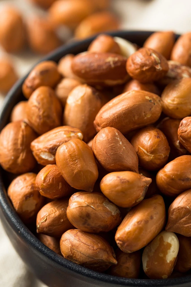 Spanish Peanut Seeds - 20 Count Arachis Hypogaea - Early Maturing Nut Plant - Image 1