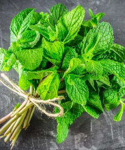 Spearmint & Chocolate Mint Seeds - 15 Seed Pack for Herb Garden Indoor/Outdoor - Image 5
