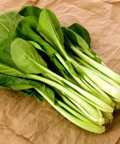 Spinach Mustard Tendergreen Seeds – 1500 Count Vegetable Seeds – Easy Grow Greens - Image 2