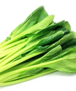 Spinach Mustard Tendergreen Seeds – 1500 Count Vegetable Seeds – Easy Grow Greens - Image 5
