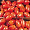 Spitze Tomato Seeds – Romanian Paste Tomato – 20 Seeds – Heirloom - Image 1