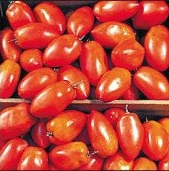 Spitze Tomato Seeds – Romanian Paste Tomato – 20 Seeds – Heirloom - Image 1