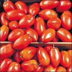 Spitze Tomato Seeds – Romanian Paste Tomato – 20 Seeds – Heirloom - Image 1