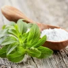 Stevia Seeds - 50 Stevia Rebaudiana Herb Seeds for Natural Sweetener - Image 1
