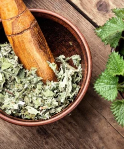 Stinging Nettle Seeds - Urtica Dioica - 200 Seeds - Outdoor Plant - Image 11