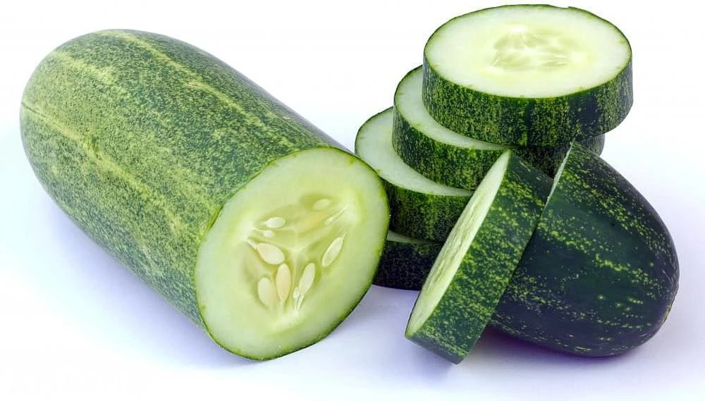 Straight Eight Cucumber Seeds - 40 Count for Slicing & Garden Planting - Image 1