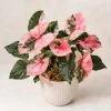Strawberry Ice Syngonium Live Plant – Pink Variegated Arrowhead Plant – 4 Inch Pot – Indoor - Image 1
