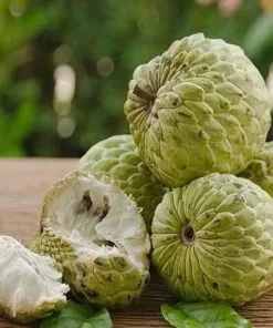 Sugar Apple in 10