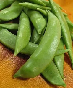 Sugar Snap Peas Seeds – 13 Grams – Edible Pods – 65-70 Days to Maturity - Image 1