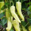 Sweet Banana Pepper Seeds – Heirloom, Non-GMO Vegetable Seeds for Gardeners - Image 1