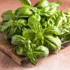Sweet Basil Seeds - Ocimum Basilicum Herb Seeds - 1500 Count for Culinary Gardens - Image 1