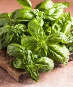 Sweet Basil Seeds - Ocimum Basilicum Herb Seeds - 1500 Count for Culinary Gardens - Image 1
