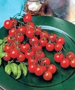 Sweet Million Cherry Tomato Seeds - 30 Crack-Resistant Seeds for Home Gardens - Image 1