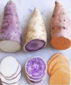 Sweet Potato Slips Variety Pack - Red Japanese, Okinawa, Beauregard - 15 Slips Live Plant - Image 1