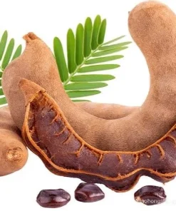 Tamarind Live Plant Seedling - 4 inch Pot - Edible Fruit & Spice Tree - Image 2