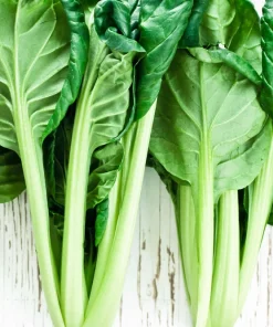 Tat Soi Seeds 1000 Count - Brassica Rapa Rosularis Bok Choy Mustard Greens - Image 8