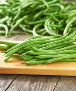 Tendergreen Green Bean Seeds – Phaseolus Vulgaris Vegetable Seeds – 50 Seed Pack - Image 6