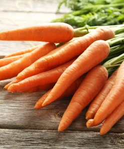 Tendersweet Carrot Seeds - 1500 Deep Orange Red Daucus Carota - Image 5