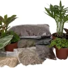 Terrarium Kit with 10 Live Terrarium Plants, 2-inch Pots, DIY Fairy Garden - Image 1