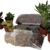 Terrarium Kit with 5 Live Plants – 2-inch Pots – DIY Indoor Garden - Image 1