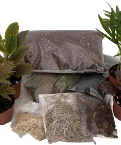 Terrarium Kit with 8 Live 2" Terrarium Plants – DIY Fairy Garden Supplies - Image 2