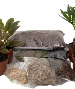 Terrarium Kit with 8 Live 2