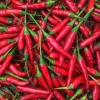 Thai Hot Pepper Seeds - Non-GMO Vegetable Seeds for Planting - Annual - Red - Image 1