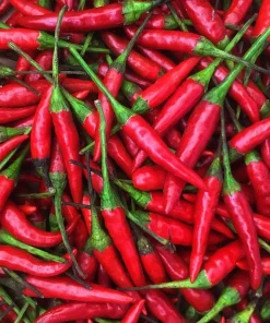 Thai Hot Pepper Seeds - Non-GMO Vegetable Seeds for Planting - Annual - Red - Image 1