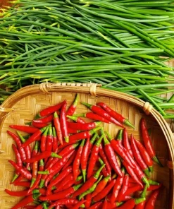 Thai Red Chili Seeds - Piri Piri Hot Pepper Heirloom Non-GMO - Indoor/Outdoor - Image 2