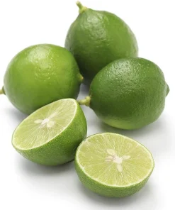 Thornless Key Lime Tree Live Plant – 5