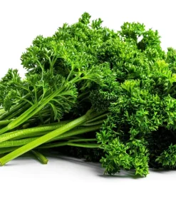 Triple Curled Parsley Seeds - 1500 Count, Petroselinum Hortensis, Herb Vegetable - Image 9