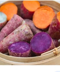 Variety Sweet Potato Slips - 15 Live Cuttings - Red, Murasaki, Purple - Image 2